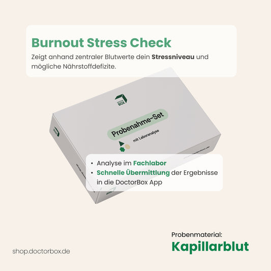 Burnout Stress Check