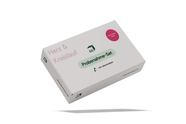 Cardiovascular Check