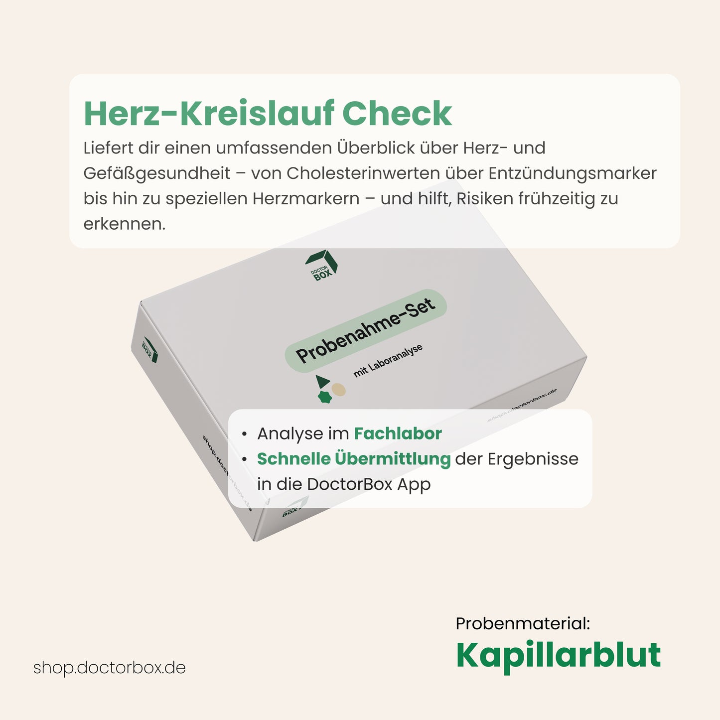 Herz-Kreislauf Check