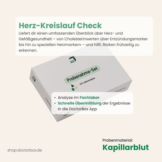 Herz-Kreislauf Check