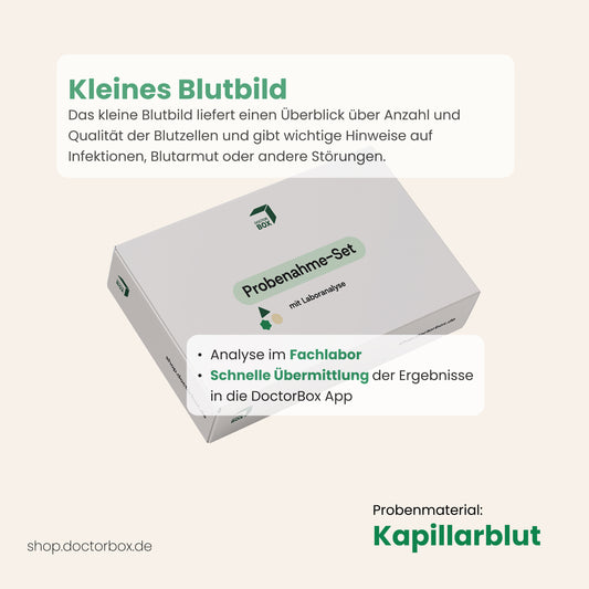 Blutbild Check (Kleines Blutbild)