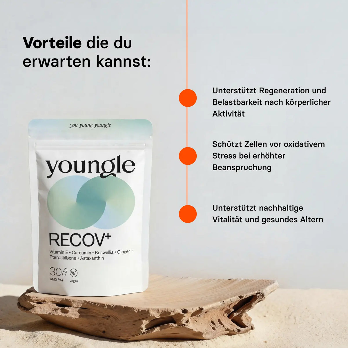 Recovery⁺ - Formula