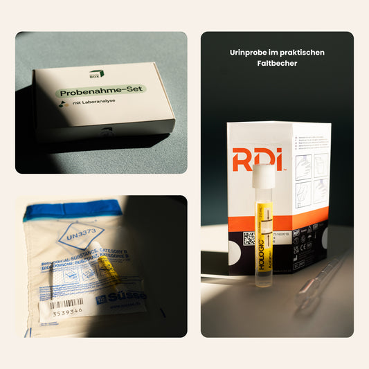 Übersichtsbild der Inhalte des STI Basics Probenahme-Set für Geschlechtskrankheiten. Es ist ein Urinabnahme-Set zu, ein Sicherheitsbeutel mit Probe sowie die Box. 